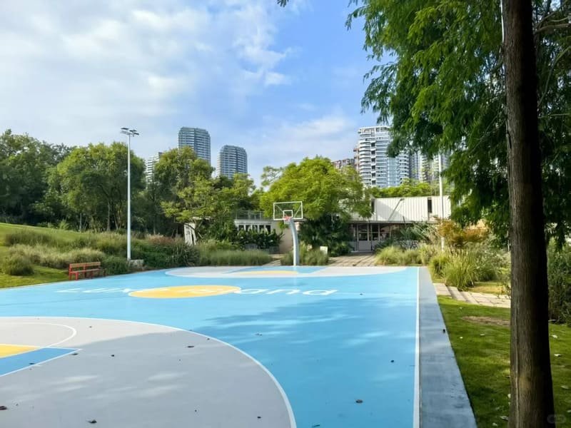 Infographic showing ball bounce height and impact force on different surfaces